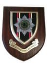 22nd The Cheshire Regiment Military Wall Plaque Shield