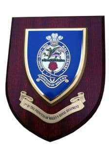 2nd Bn Princess of Wales Royal Regiment Welsh Military Wall Plaque Shield