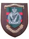 3rd Irish Regiment Down and Armagh Military Wall Plaque Shield