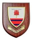 502 STRE FPE Royal Engineers Military Wall Plaque