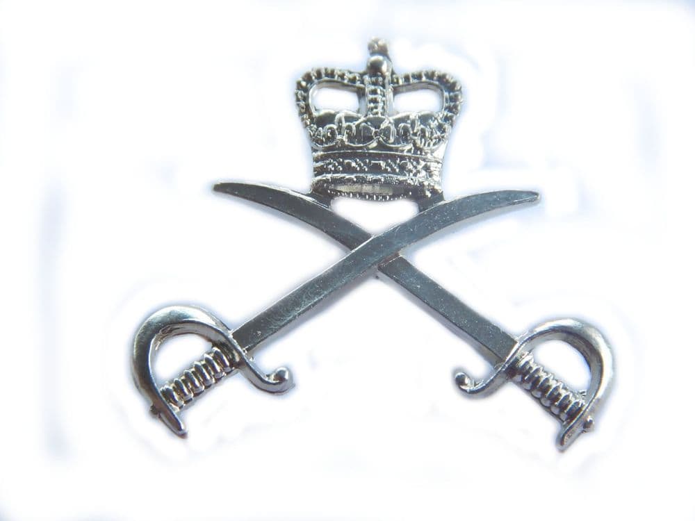 Army Physical Training Corps Combat Flash APTC Badge - Foto 3