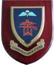 Combined Operations Military Wall Plaque Mess Shield
