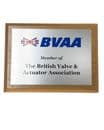 Corporate Award Plaque Oak 185mmx145mm