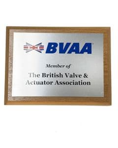 Corporate Award Plaque Oak 185mmx145mm