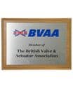 Corporate Recognition Awards