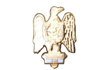 Dragoon Guards Regimental Military Lapel Badge