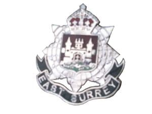 East Surrey Regimental Military Lapel Badge