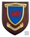 Gwent and Powys ACF Army Cadet Force Military Wall Plaque