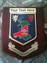 Heddlu Dyfed Powys Welsh Police Force Personalised Wall Plaque