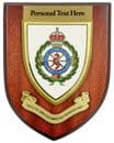North East Ambulance Service NHS Foundation Trust Personalised Wall Plaque