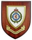 North East Ambulance Service NHS Foundation Trust Wall Plaque