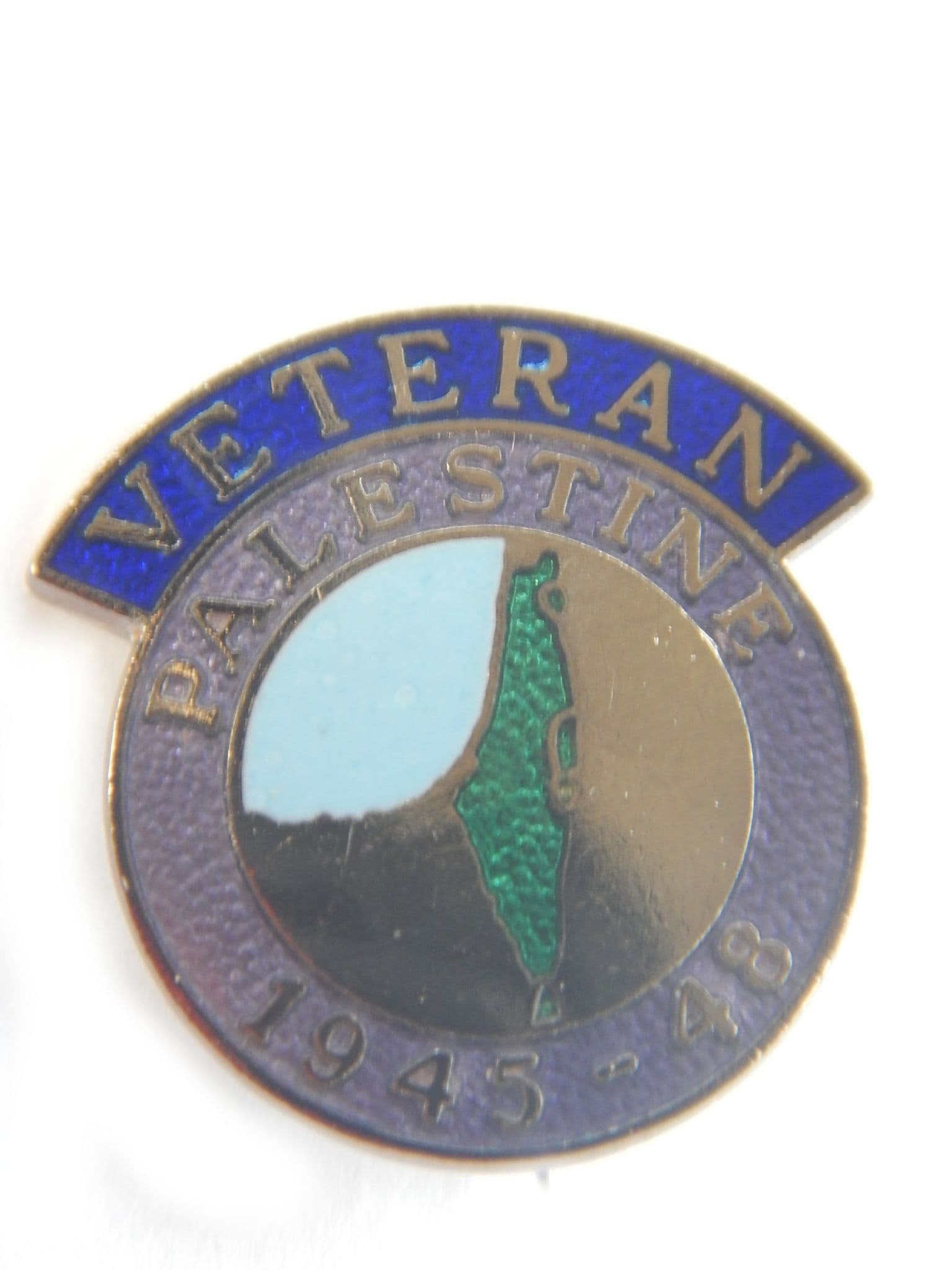Palestine British Armed Forces Veteran Military Lapel Badge