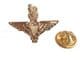 Parachute Regiment Lapel Badge, Cufflinks and Tie Clip Gift Set Gold Coloured