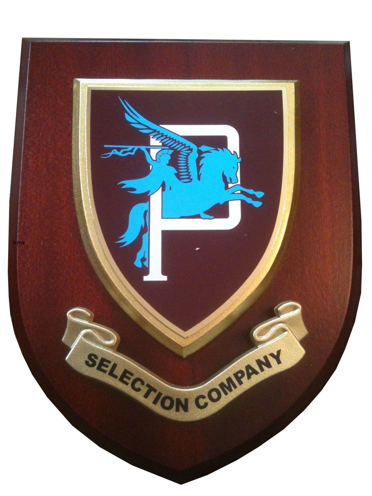 Parachute Regiment P Company Selection Military Wall Plaque Mess Shield