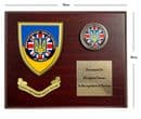 Presentation Plaque with Challenge Coin