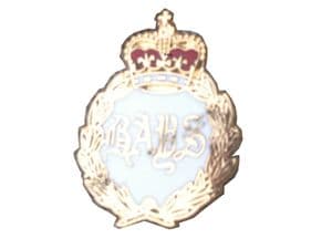 Queens Bays Regimental Military Lapel Badge