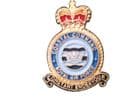 RAF Coastal Command Lapel Badge Royal Air Force