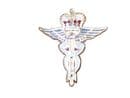 RAF Medical Military Lapel Badge Royal Air Force