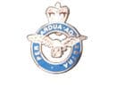 RAF Military Lapel Badge Royal Air Force