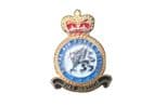 RAF Police Military Lapel Badge Royal Air Force