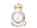 RAF Regiment Military Lapel Badge Royal Air Force