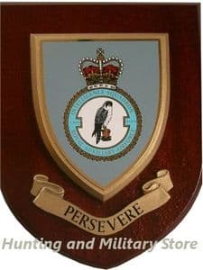 RAF Royal Air Force 7630 Intelligence Sqd Regental Military Wall Plaque Shield