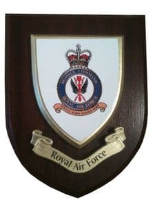 RAF Royal Air Force Bomber Command Regimental Wall Plaque Shield