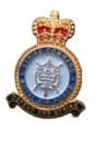 RAF Strike Force Command Lapel Badge Royal Air Force