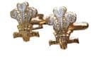 Royal Regiment of Wales Military Cufflinks