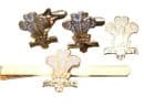 Royal Regiment of Wales Regimental Cufflink, Lapel and Tie Clip Set