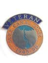 Suez Canel Zone Military Lapel Badge