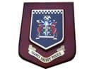 Thames Valley Police Force Shield Wall Plaque