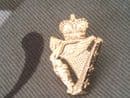 Ulster Defence Regiment Enamel Lapel Badge