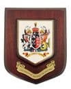 University Wall Plaques