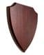 Wall Plaque Shield Plinth / Taxidermy 0018