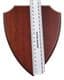 Wall Plaque Shield Plinth / Taxidermy 0018