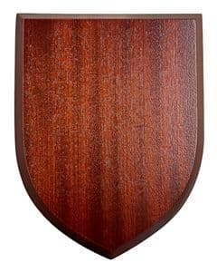 Wall Plaque Shield Plinth / Taxidermy 00T1