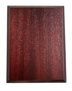 Wall Plaque Shield Plinth / Taxidermy S18x14