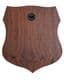 Wall Plaque Shield Plinth / Taxidermy T20