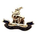 Warwickshire Regiment Military Lapel Badge