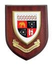 Warwickshire University Wall Plaque Shield