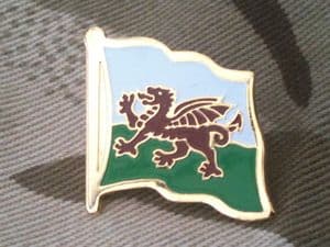 Welsh Flag Regimental Military Lapel Badge