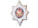 Worcestershire Regiment Military Lapel Badge
