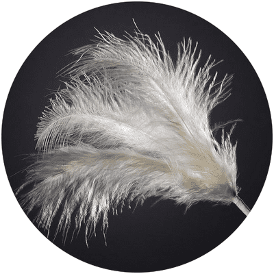 3 Feathers Spray Ivory