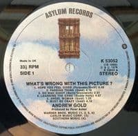 ANDREW GOLD What's Wrong With This Picture? Vinyl Record LP Asylum 1976
