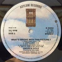 ANDREW GOLD What's Wrong With This Picture? Vinyl Record LP Asylum 1976