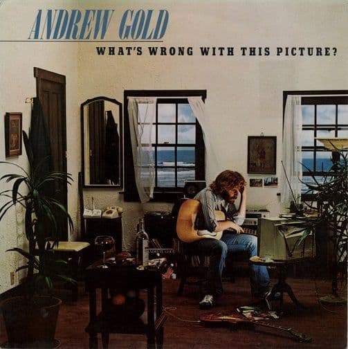 ANDREW GOLD What's Wrong With This Picture? Vinyl Record LP Asylum 1976