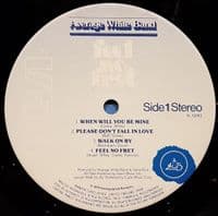 AVERAGE WHITE BAND Feel No Fret Vinyl Record LP RCA 1979