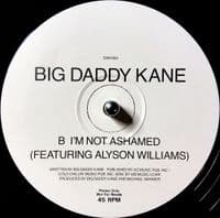 BIG DADDY KANE The Lover In You (Remix) Vinyl Record 12 Inch Warner Bros. 1992 Promo Single SAM 993