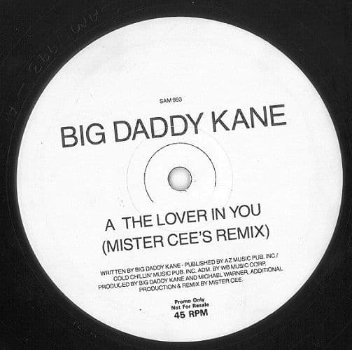 BIG DADDY KANE The Lover In You (Remix) Vinyl Record 12 Inch Warner Bros. 1992 Promo Single SAM 993